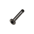 Canyon EP0887-01 Strive Shock Mount Bolt