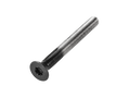 Canyon Headset Screw
