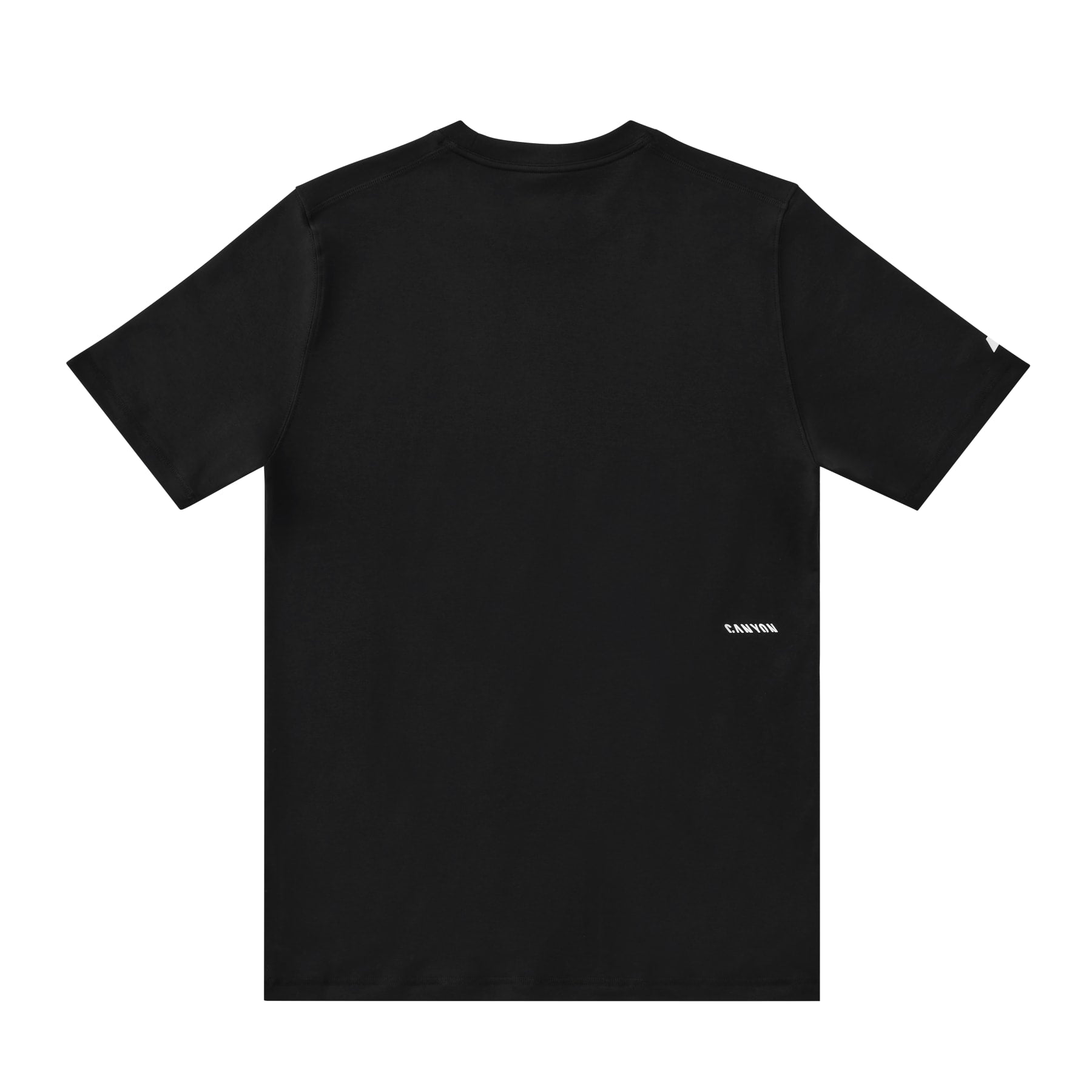 Canyon Men's T-Shirt