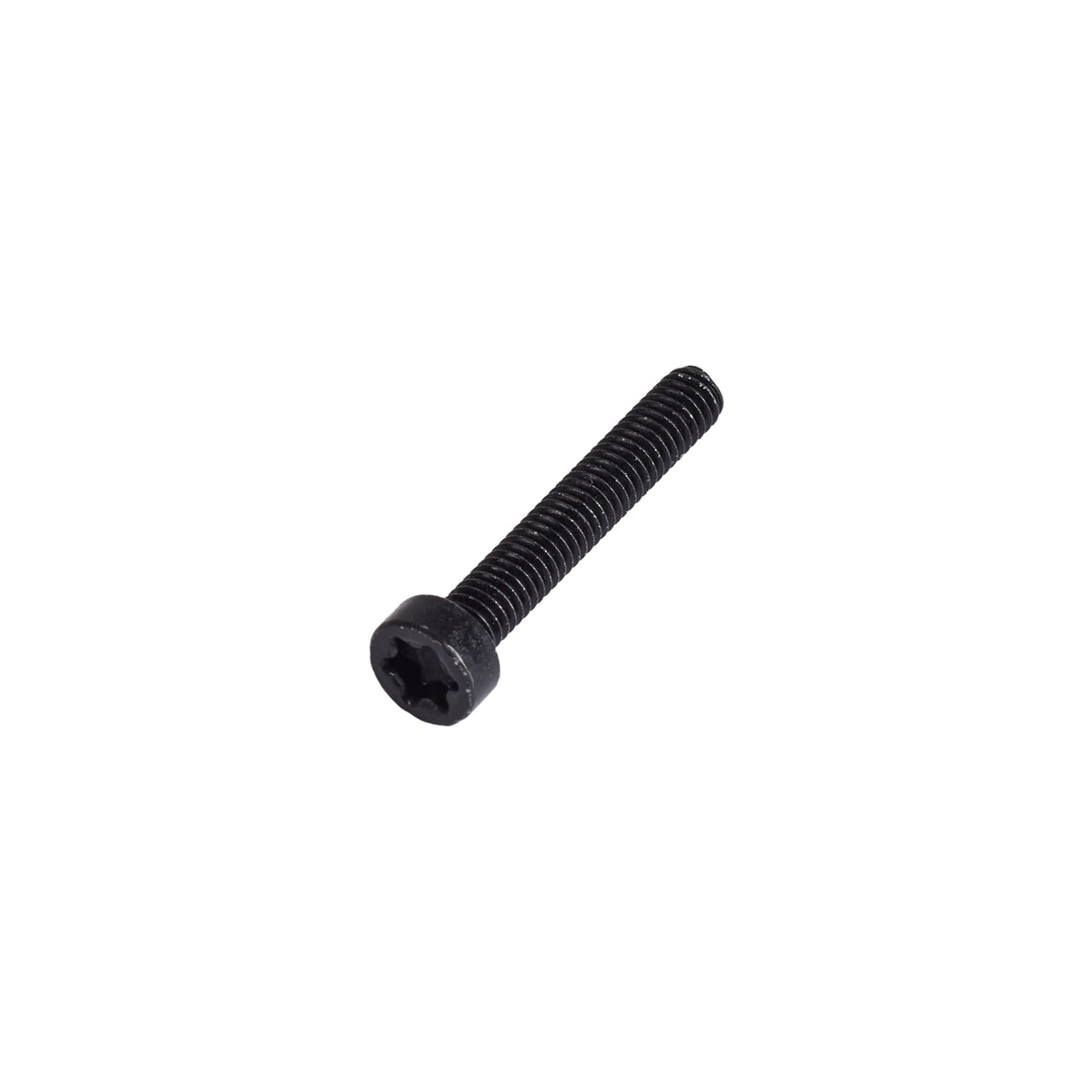 M4 x 25mm TX25 ISO14580 Screw