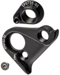 Canyon GP0160-01 Derailleur Hanger